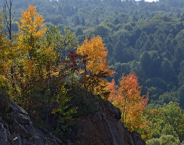 The "Solvay Quarry" - smaller format