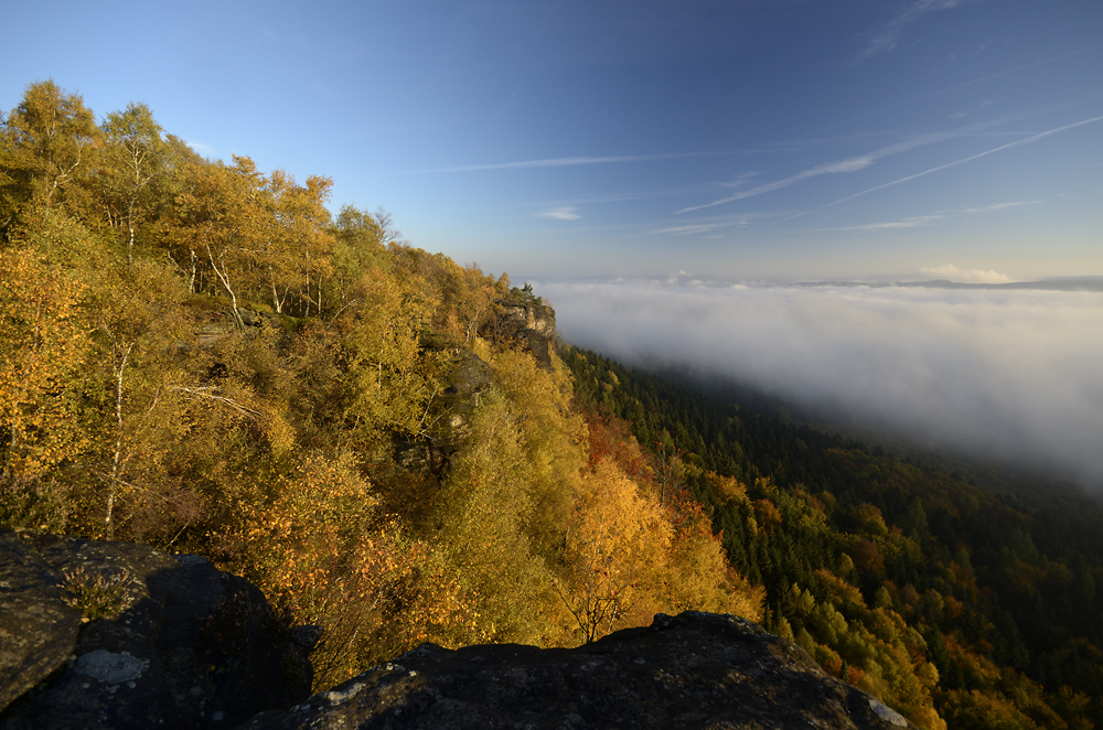 Morning colors - larger format