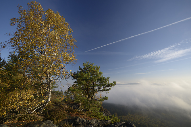 On "Zschirnstein" - smaller format