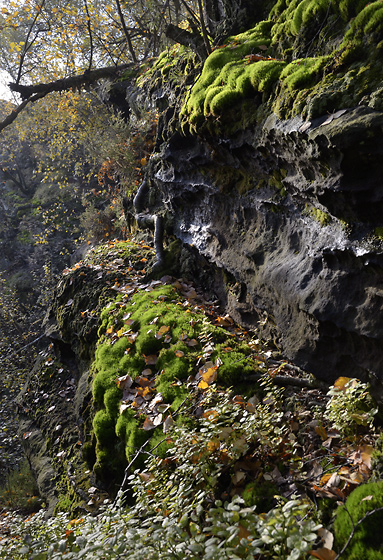 On "Zschirnstein" - smaller format