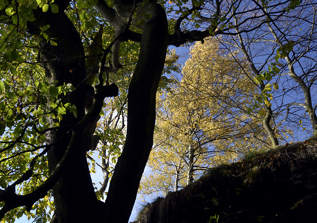 On "Zschirnstein" - smaller format