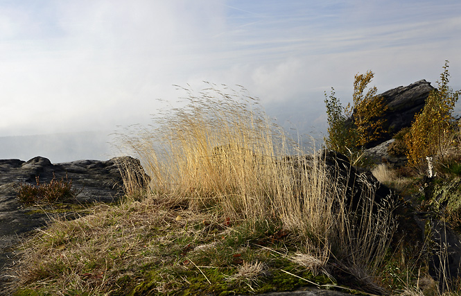 On "Zschirnstein" - smaller format