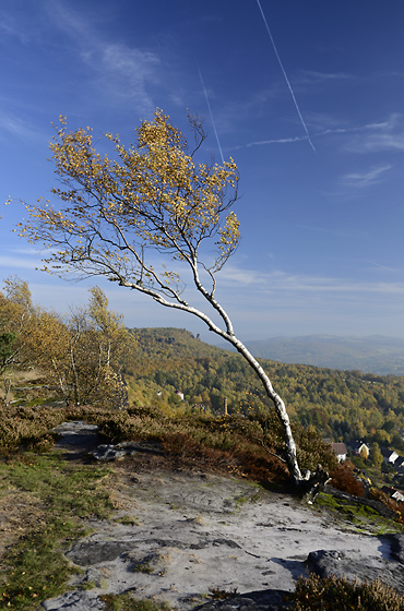 In "Tis Cliffs" - smaller format
