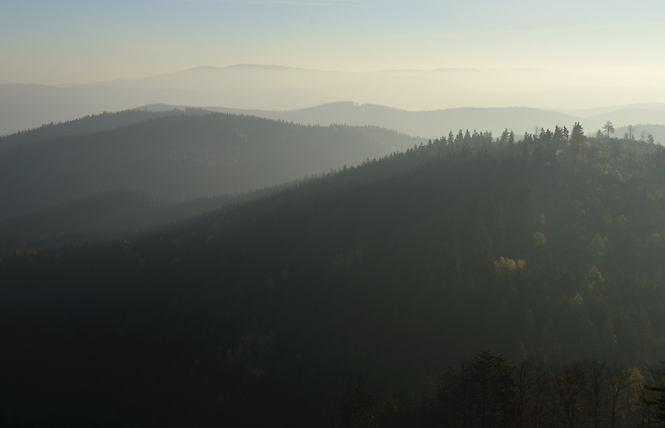 Morning light - smaller format