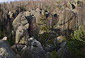 Over the gorge - main link