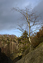 Over the gorge - main link