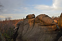 Evening light - main link