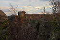 Evening light - main link