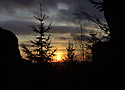 Evening light - main link