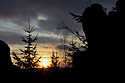 Evening light - main link