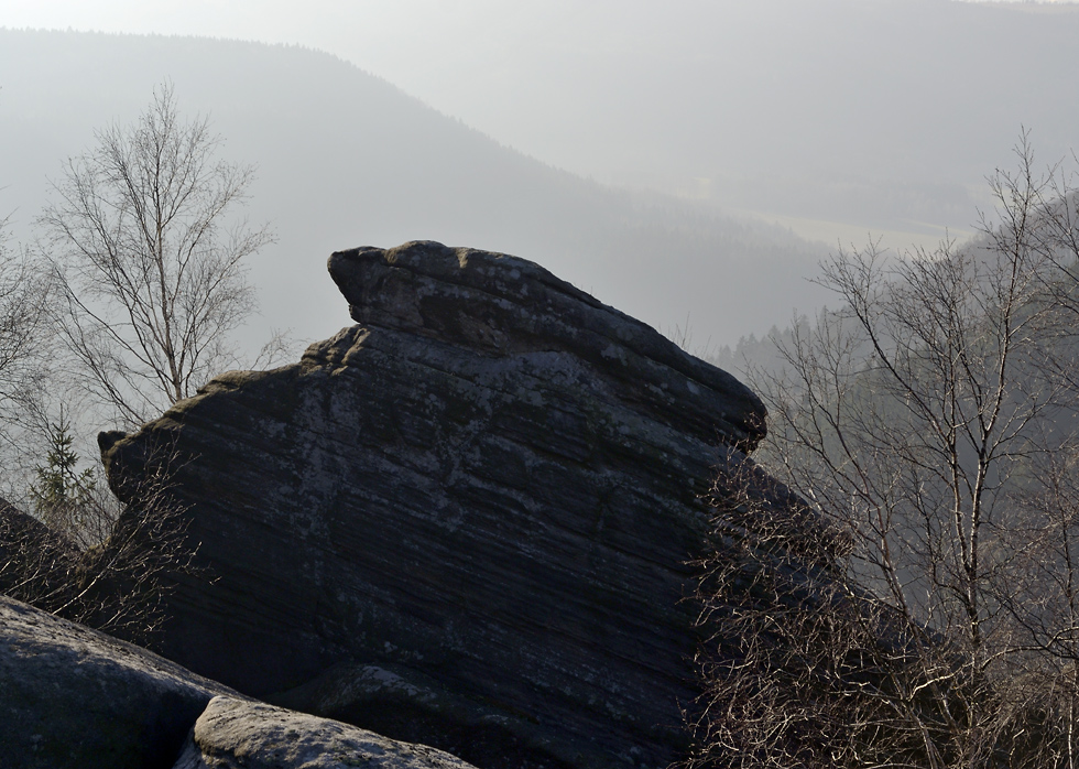 On "Boanov Hill" - larger format