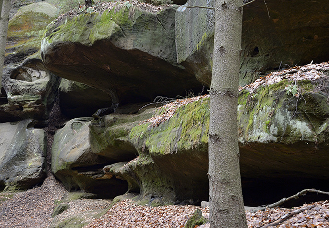 In rocks - smaller format