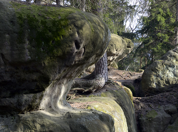 "Skalki Gorzeszowskie" - smaller format