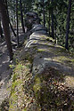 Ridge - main link
