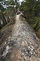 On the top - main link