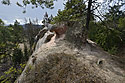 On the top - main link