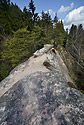 On the top - main link