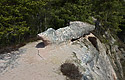 Ridge - main link