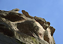 Little horns - main link