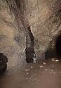 In the cave - main link