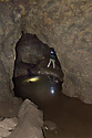 In the cave - main link