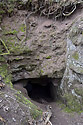 Portal - main link