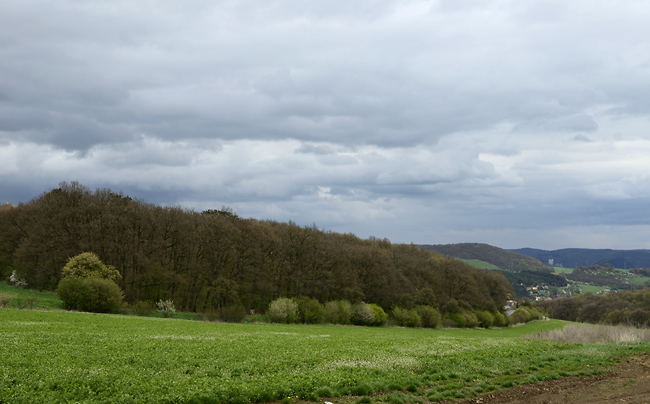 Near the quarry - smaller format