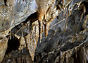 Dripstones - main link