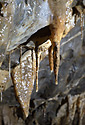 Dripstones - main link