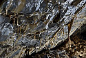 Dripstones - main link