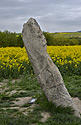 Menhir - hlavn odkaz