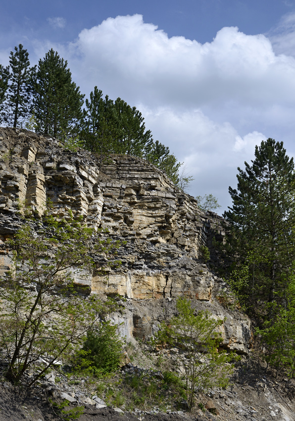 In the quarry - larger format
