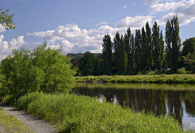 U Vltavy na Zbraslavi - men formt