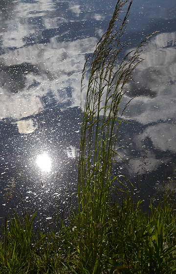 Reflection - smaller format