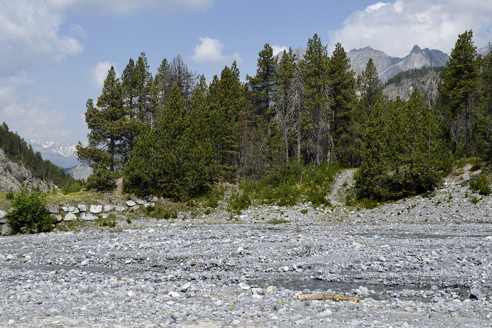 "Vallatscha" Valley - larger format