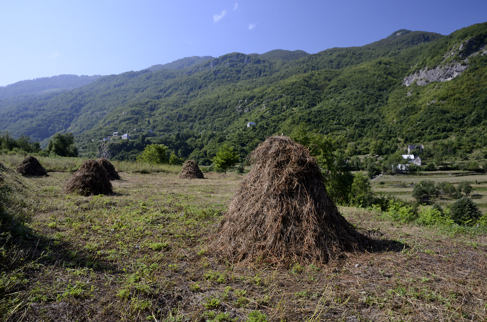 Curraj i Eprm - vt formt