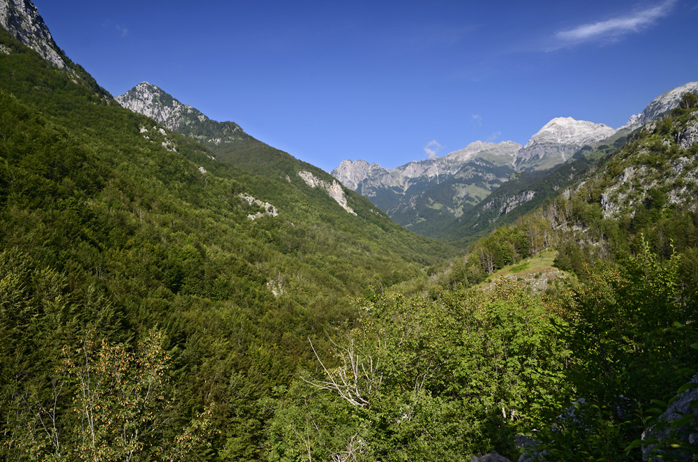 Valley - larger format