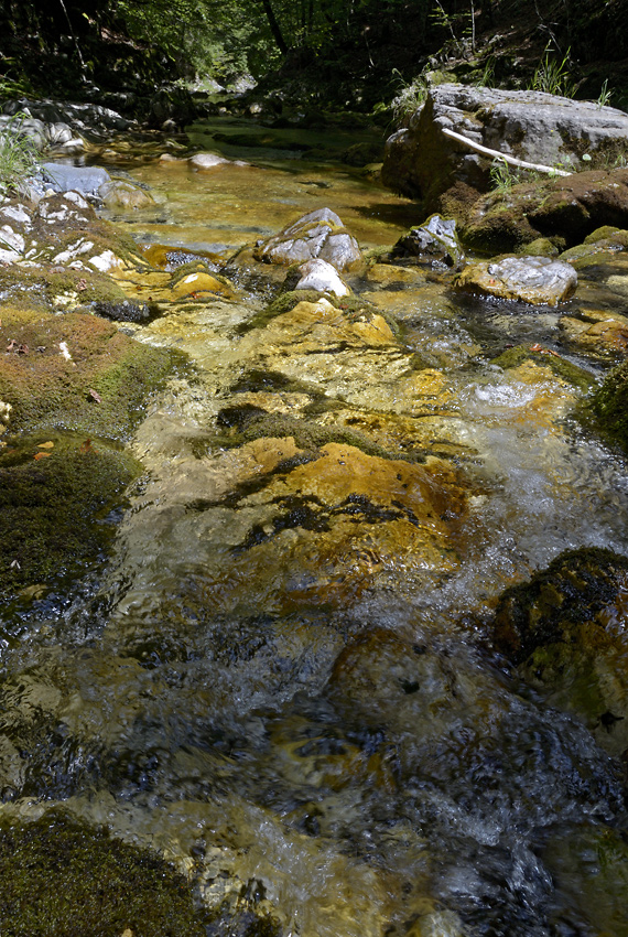 On the creek - larger format