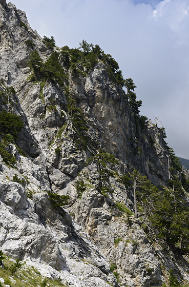 Precipice - smaller format