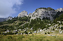 Grazing - main link