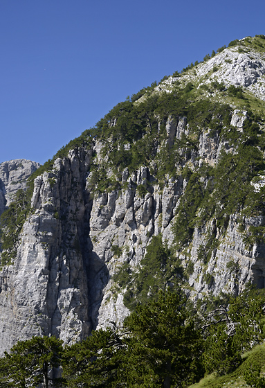 Wall - smaller format
