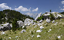 Vistas - main link