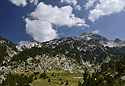 "Fusha e Denellit" - main link