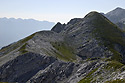 Panorama - main link