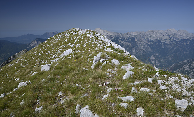 Top of the mount - smaller format