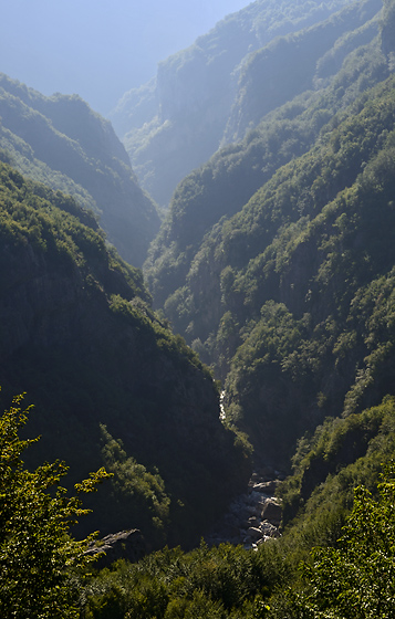 Canyon - smaller format