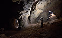 In the cave - main link