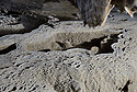 Sinter pools - main link