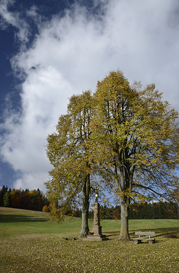 Cross in meadows - smaller format