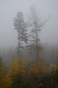 Autumn in rocks - main link